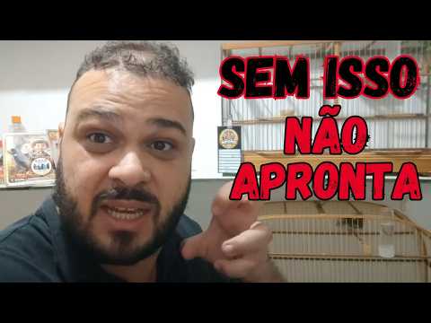 FAÇA ISSO AGORA E SEU COLEIRO VAI ABRIR CANTO