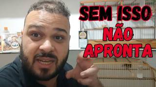 FAÇA ISSO AGORA E SEU COLEIRO VAI ABRIR CANTO