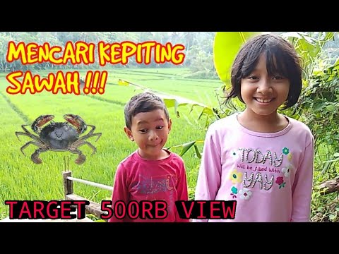 KESERUAN MENCARI KEPITING SAWAH!!!