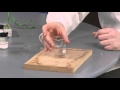 Endothermic Reactions and Christmas Chemistry