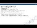 Molecular Biology Concepts Assessment