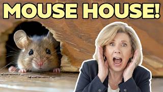 Buying a Mouse's Family Home?