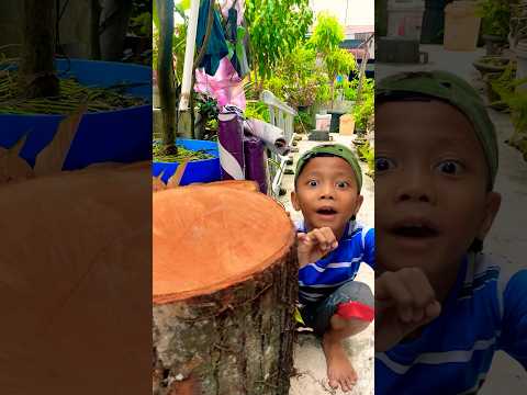 Ada hantu disitu ..
