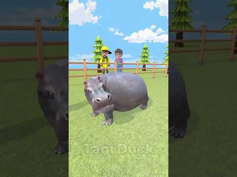 Hippo what are you doing in my backyard? #funny #scaryteacher #shorts