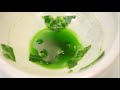 Chromatography Techniques and Applications