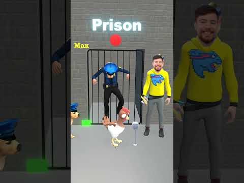 Cute Cat, Cute Chicken or Cute Dog? Which Animal Can Rescue a Police Dog from Prison? #cat  #dog