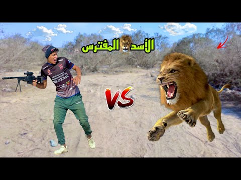 لما اخوك الصغير يروح الغابه ويصطاد أسد 🐅😂| علاء حسين