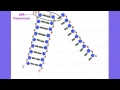 DNA Replication Processes and Enzymes
