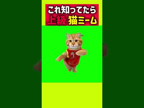 これ知ってる人いる？ダンス猫ミームmeme! #shorts #ナルトダンス