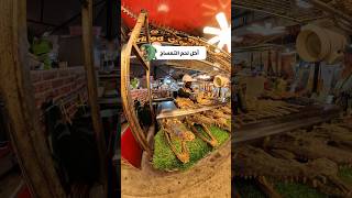 لحم التمساح 🐊🇹🇭 أكل الشوارع • أكلات غريبة • فلوغات السفر • بانكوك • فوكيت • street food thailand