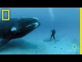 Whale Encounter Emotions and Observations