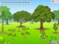 Functions and Importance of Plant Roots