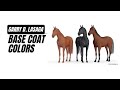 Horse Coat Color Genetics