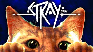 Stray: A Late 2025 Long Cut