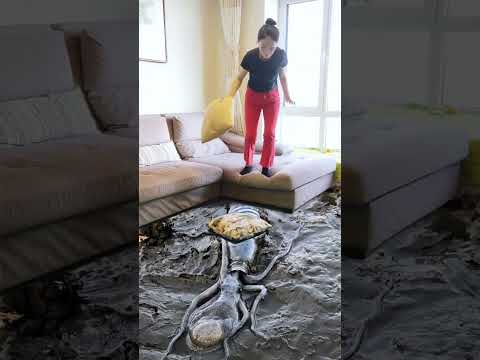 Surprised or not? #How to have fun?3D Special Effects | 3D Animation #shorts  #Happiness #vfxhd