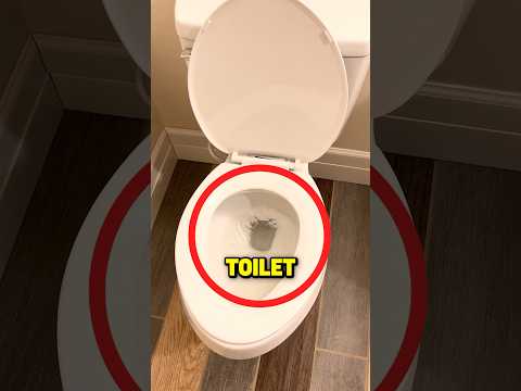 If you ever see THIS in your toilet RUN AWAY!😱