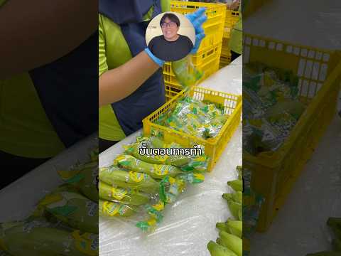 ผู้ชายคนนี้ขายกล้วยให้เซเว่นวันละเกือบ 100,000 ลูก!#รีวิวเซเว่น #ของกินในเซเว่น #SME #7Eleven
