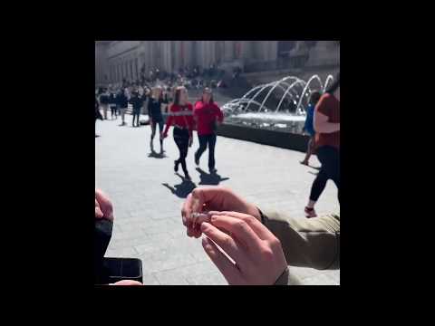 NYC Proposal Series: The Met