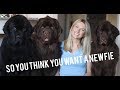 Preguntas sobre un video informativo