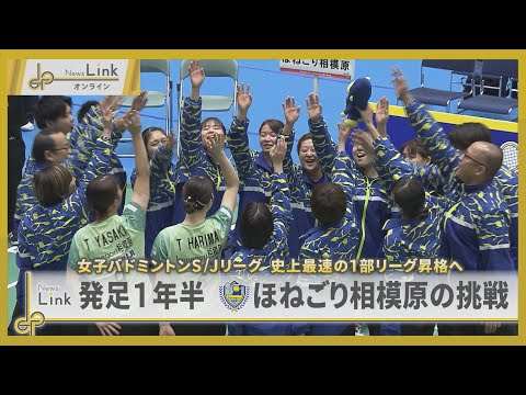 史上最速の1部リーグ昇格を目指す 発足1年半のほねごり相模原の挑戦 / 女子バドミントンS/Jリーグ 【News Lin...