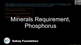 Minerals Requirement, Phosphorus