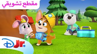 منزل أولي على الشجرة 🌳 | مدينة الجراء 🦺 | ديزني جونيور العربية