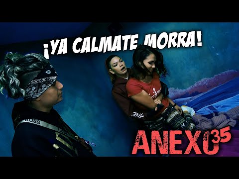 Anexo 35 | Christian Meza