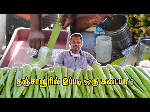தஞ்சாவூர் அசத்தும் கற்றாழை ஜூஸ் கடை | Aloe vera juice - Unique & Healthy Street Food |Food Thanjavur