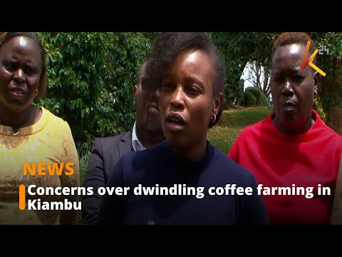 Concerns over dwindling coffee farming in Kiambu