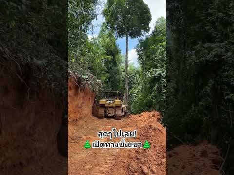 😱!สุดไปเลย! #เปิดทางขึ้นเขา 🌲🌲🌲🚂🚄🚅🚇🚖🚕🚜🚲🦼🛵🏍⛽️🛢🛤🛣