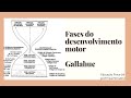 Desenvolvimento Motor ao Longo da Vida
