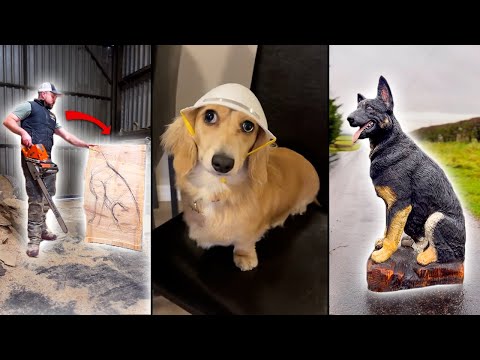 Turning A Tree Trunk Into A Dog Statue