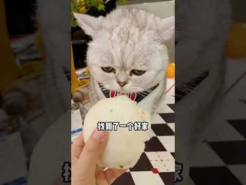 Love heals everything