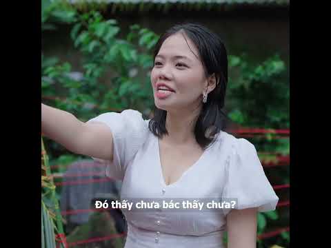 Tại nó ngu thôi