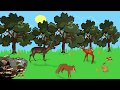 Ecological Interactions and Competition