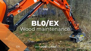 Video - FAE BL0/EX - FAE BL0/EX forestry mulcher in action with a Kubota excavator