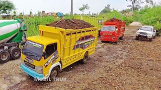 Woow Rc Handmade Muatan Berat Mobil Truk Oleng Canter Fuso DumpTruk Miniatur Jatuh Terguling