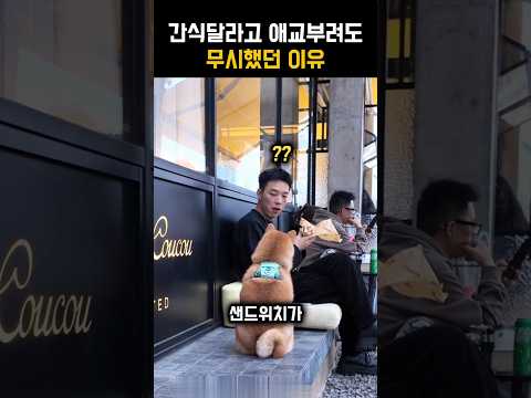 애교부려도 간식 안주는 까닭