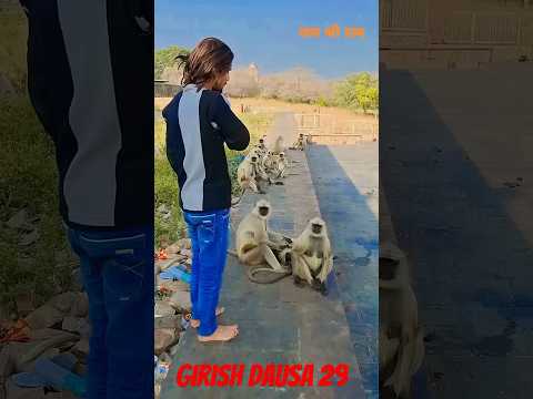 बंदर के साथ किया मजाक 🤣😂 #funny #fun #funnyvideo #comedy #trendingshorts #monkey #trending #tiktok