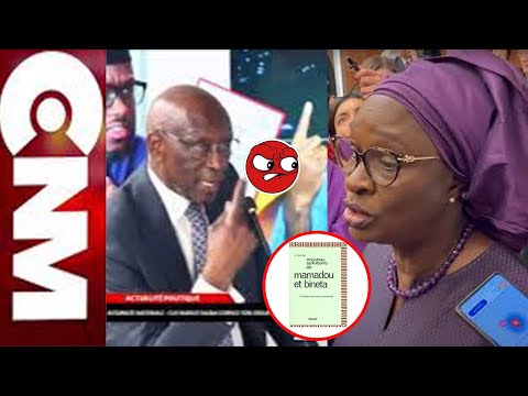 Doudou Wade pique une colere noire et  tire severement sur Yacine Fall « Elle ne peut pas car… »