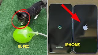 The Truth About iPhones Nobody Believed Until Now
