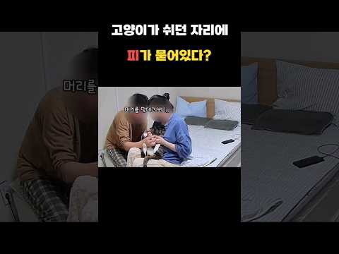 이 와중에 사심 채워서 죄송합니다