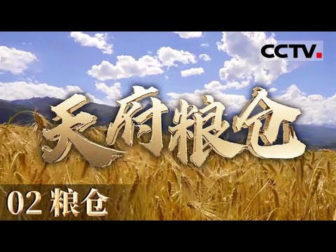 《天府粮仓》02 粮仓：各种类型的农机具在四川丘陵地区开始使用 综合机械化水平达到70%【CCTV纪录】