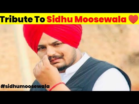 Sidhu Moosewala Shot dead 🥺 I RIP Sidhu Moosewala ❤️ @SidhuMooseWalaOfficial @DimagTezFact