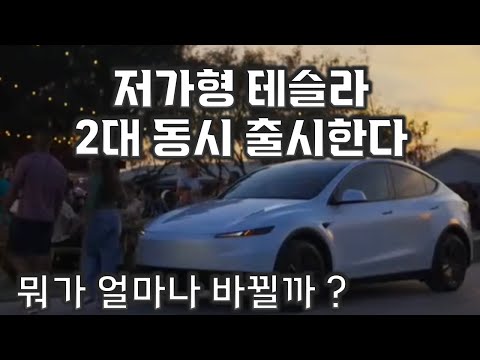 저가형 테슬라 모델3 & 모델Y 스탠다드 로 나온다 ! 주니퍼 & 하이랜드 신분 상승 !