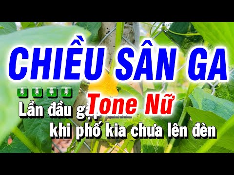 Karaoke Chiều Sân Ga Nhạc Sống Tone Nữ | Beat Bảo Hưng