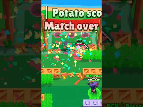 Rank 30 Brock Guide