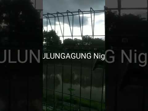 DAM MAJAN KEDUNGWARU... ayo mancenggg