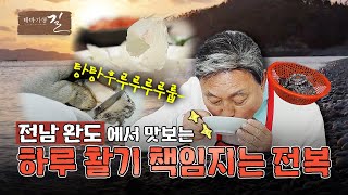 [테마기행 길] 치유의 섬에서 빙그레 웃다 '완도' | MBC경남 240607 방송 다시보기