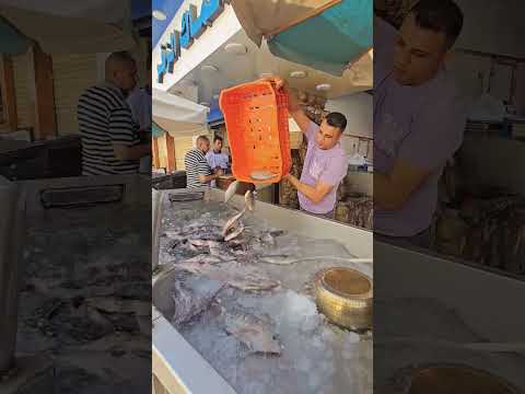 بلطي حي